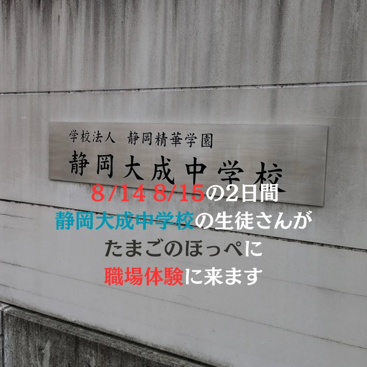 お知らせ