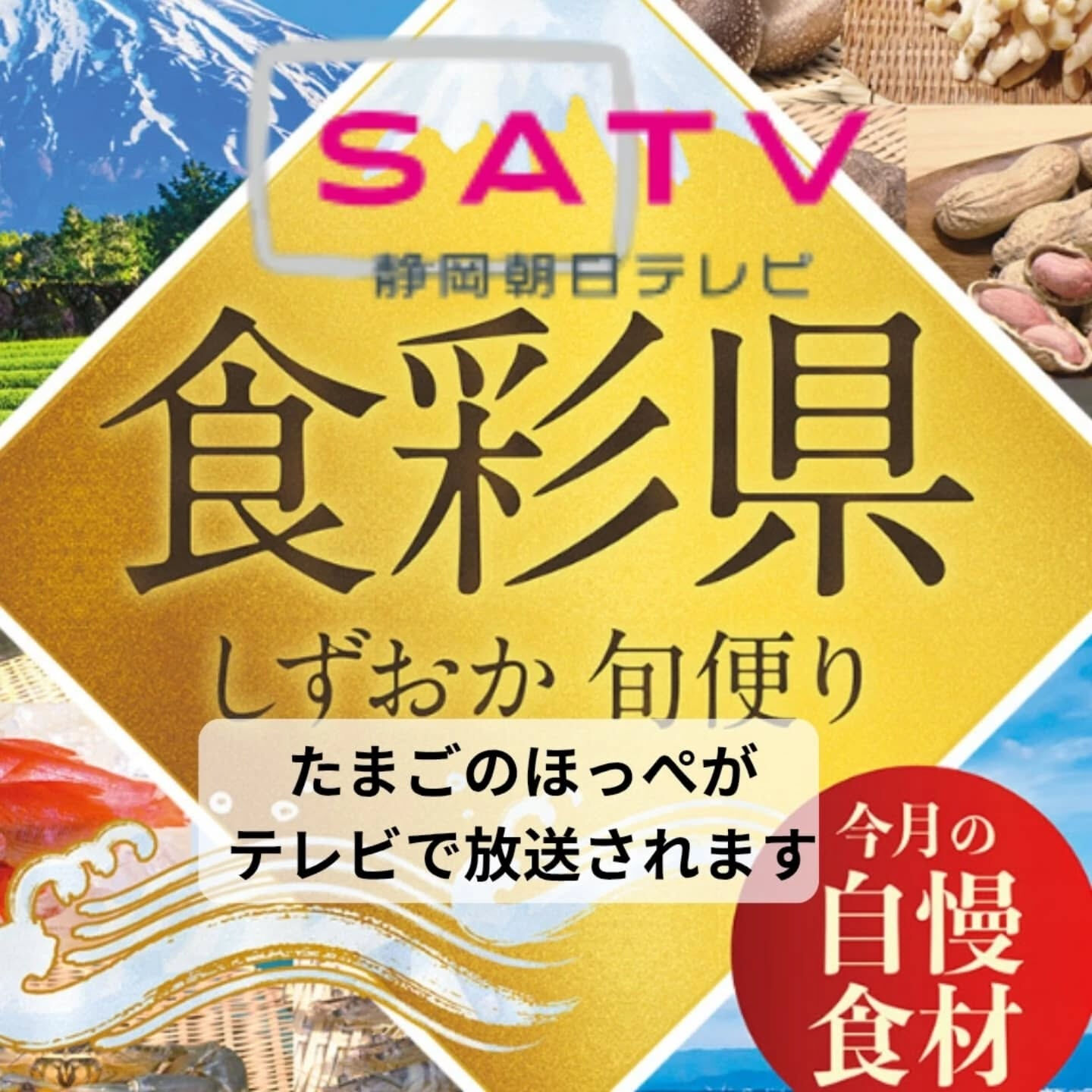 静岡朝日テレビ様の日曜午前11時放送の